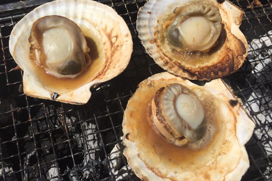 焼きホタテ（羽幌町　きたる）