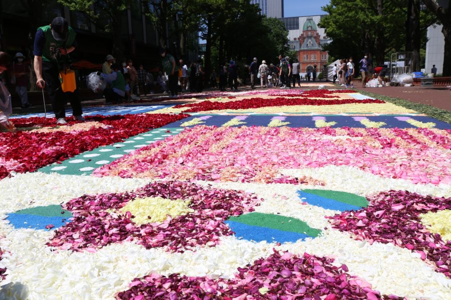 写真は、SAPPORO FLOWER CARPETの写真です。<br />
