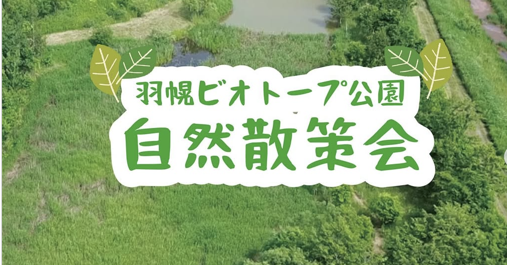 羽幌ビオトープ公園　自然観察会