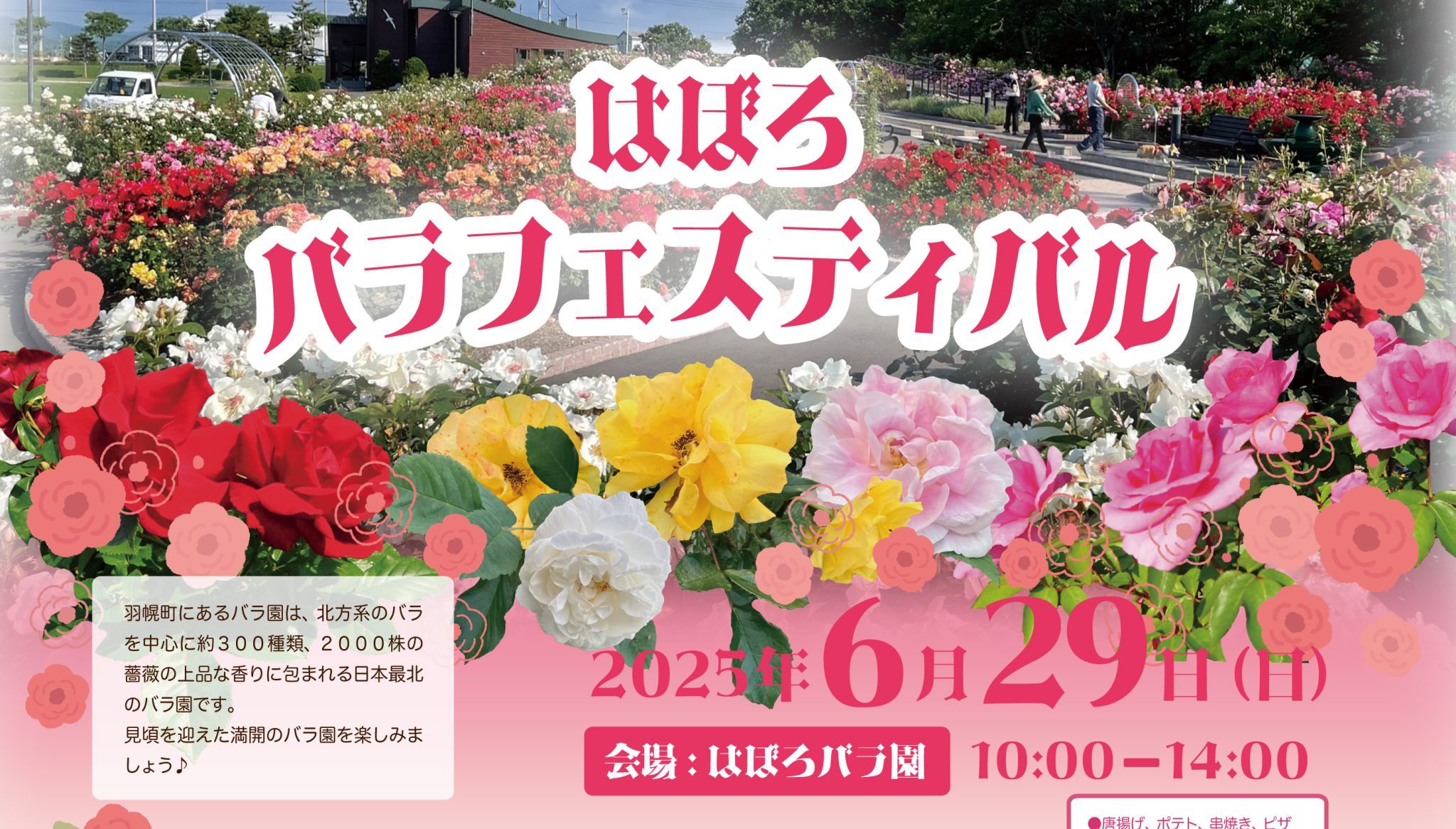 ののはら　フォロー割 7f1982a491385ed75c4f496359b444