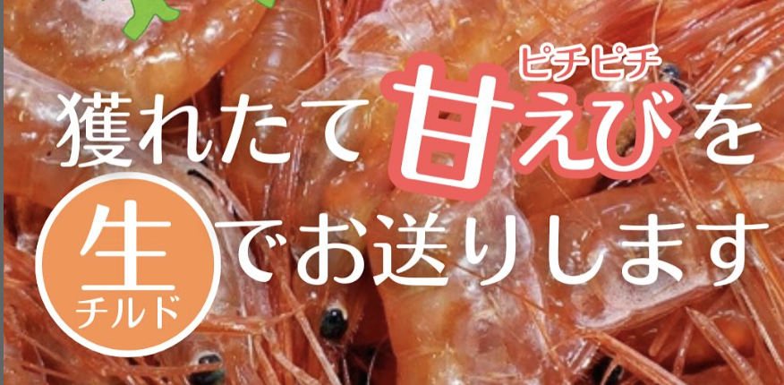道内限定！甘えび獲れたて発送します※羽幌町ふるさと納税