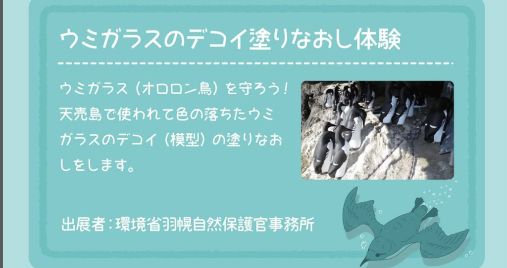 海鳥フェスのブース紹介※北海道海鳥センター