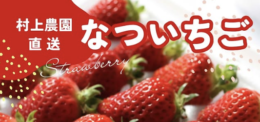 村上農園の🍓なついちご🍓※羽幌町ふるさと納税