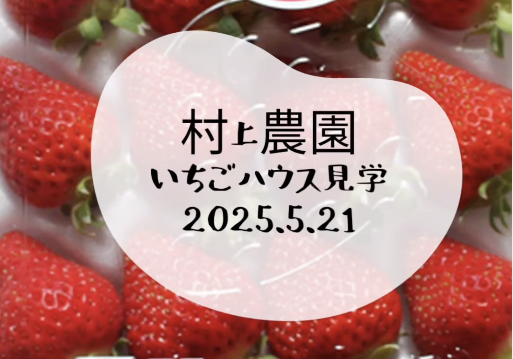 村上農園いちごハウス見学※羽幌町ふるさと納税