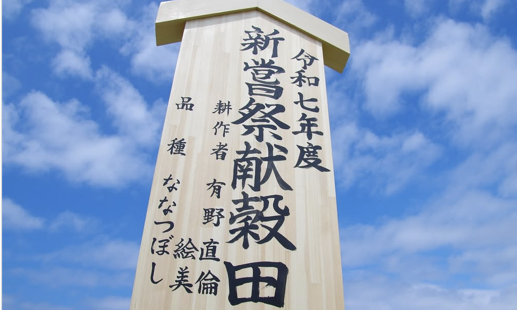 御田植祭～羽幌地区～※JAるもい