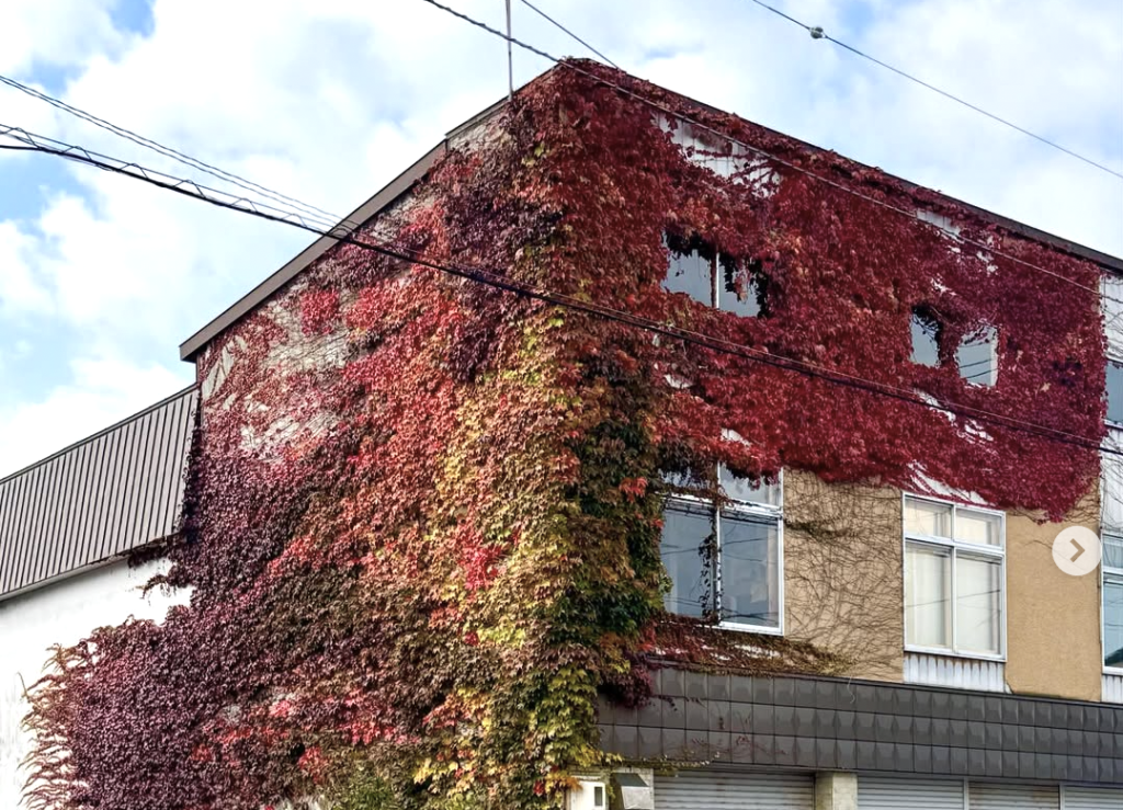 石川屋酒店さんの横を通りがかったら　@羽幌町
