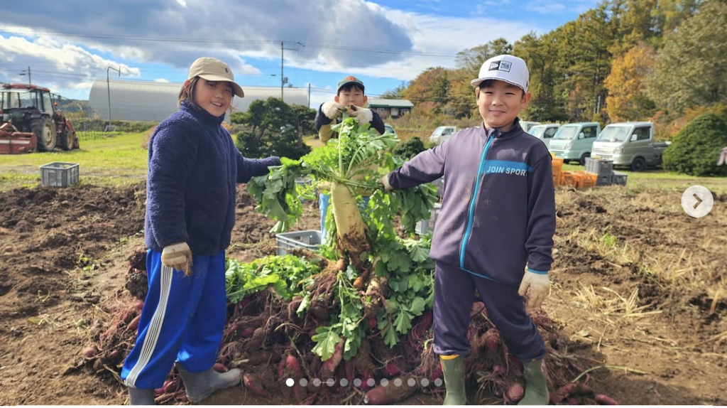 羽幌小学生さつまいもの収穫体験　@JAるもい