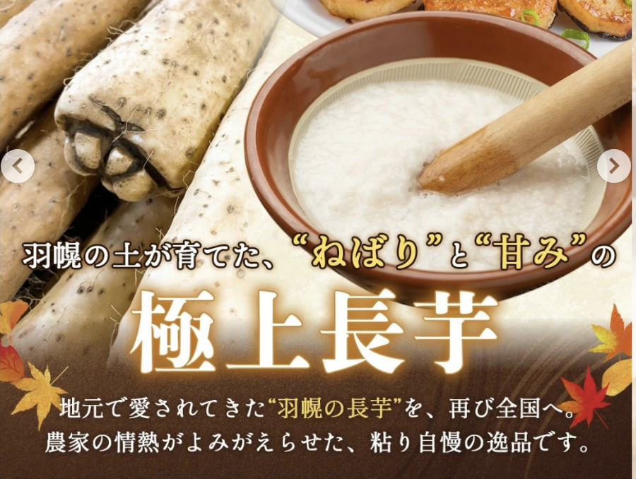 中尾ファームのねばり長芋　@羽幌町ふるさと納税