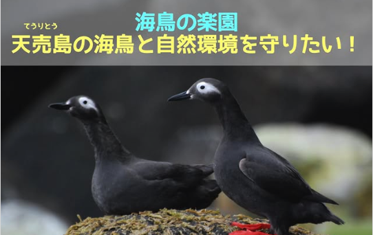 海鳥を守るふるさと納税　目標金額達成！@北海道海鳥センター