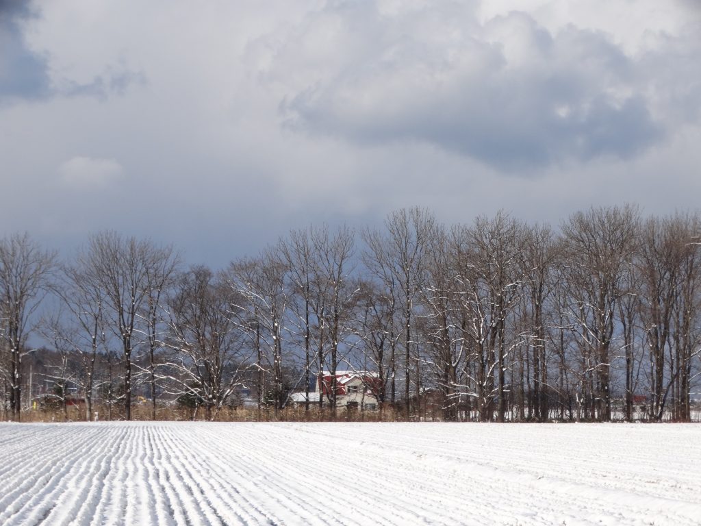 羽幌八景「冬景色」