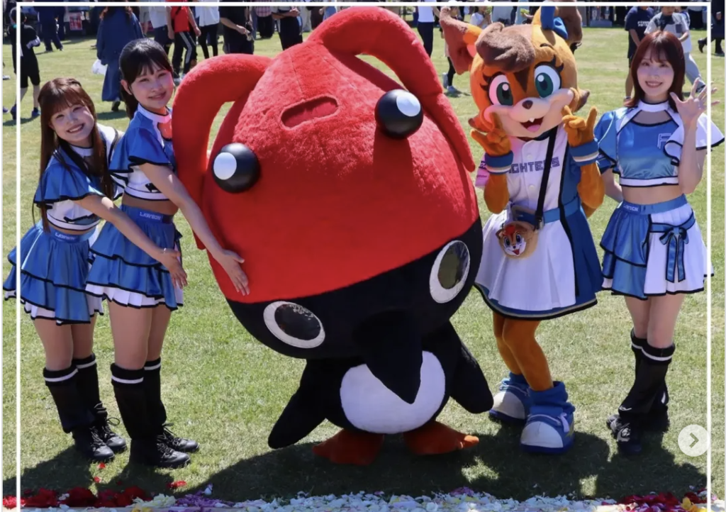 はぼろバラフェスティバル、大盛況で終了しました！＠羽幌町